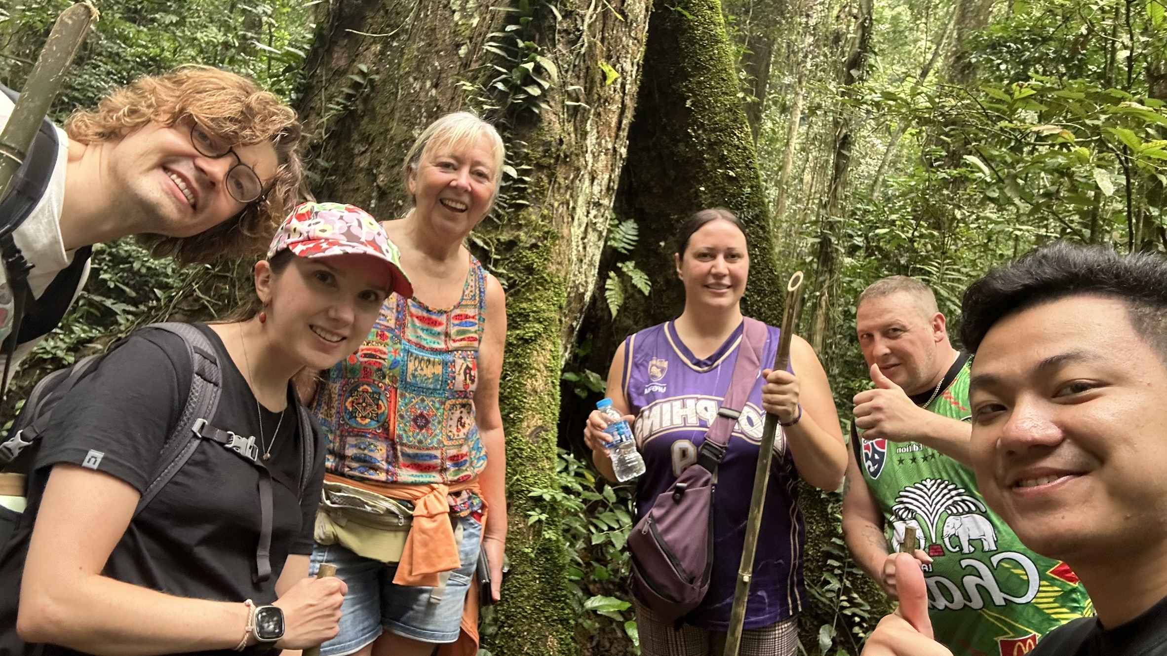 Information board about the rescue stories of the bears